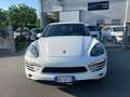 Porsche Cayenne 3.0 Diesel Blanc - thumbnail 1