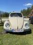 Volkswagen Käfer - thumbnail 1