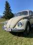 Volkswagen Käfer - thumbnail 2