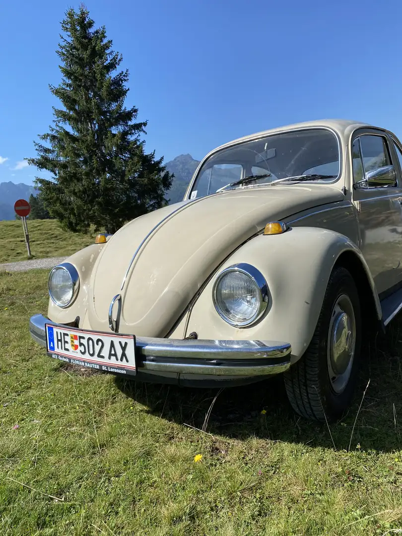 Volkswagen Käfer - 2