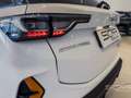 Dongfeng Shine GS Shine GS 1.5 E1 dct Weiß - thumbnail 21