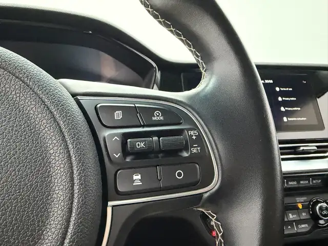 Kia E-Niro view 14