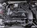 Volkswagen Golf Variant 1.5 eTSI DSG GOAL AHK NAVI KAMERA LED Weiß - thumbnail 19