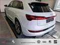 Audi e-tron 55 quattro S line *****AZN-Förderung***** Weiß - thumbnail 5