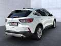 Ford Kuga Hybrid Titanium X Bluetooth Head Up Display Weiß - thumbnail 4