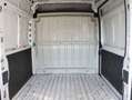 Citroen Jumper Jumper 33 BlueHDi 120 S&S PM-TN Furgone Bianco - thumbnail 20