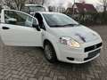 Fiat Grande Punto 1.2 8V Basis /Klima / Tüv Neu /Euro 5/ GARANTIE Weiß - thumbnail 12