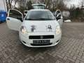 Fiat Grande Punto 1.2 8V Basis /Klima / Tüv Neu /Euro 5/ GARANTIE Weiß - thumbnail 13