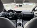 Audi A4 allroad A4 Allroad 2.0 tdi Business 177cv s-tronic Marrone - thumbnail 12