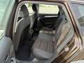 Audi A4 allroad A4 Allroad 2.0 tdi Business 177cv s-tronic Marrone - thumbnail 13
