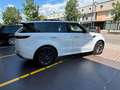 Land Rover Range Rover Sport Range Rover Sport  3.0d i6 mhev DYNAMIC SE D250 Bianco - thumbnail 5
