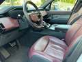 Land Rover Range Rover Sport Range Rover Sport  3.0d i6 mhev DYNAMIC SE D250 Bianco - thumbnail 7