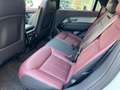 Land Rover Range Rover Sport Range Rover Sport  3.0d i6 mhev DYNAMIC SE D250 Bianco - thumbnail 10