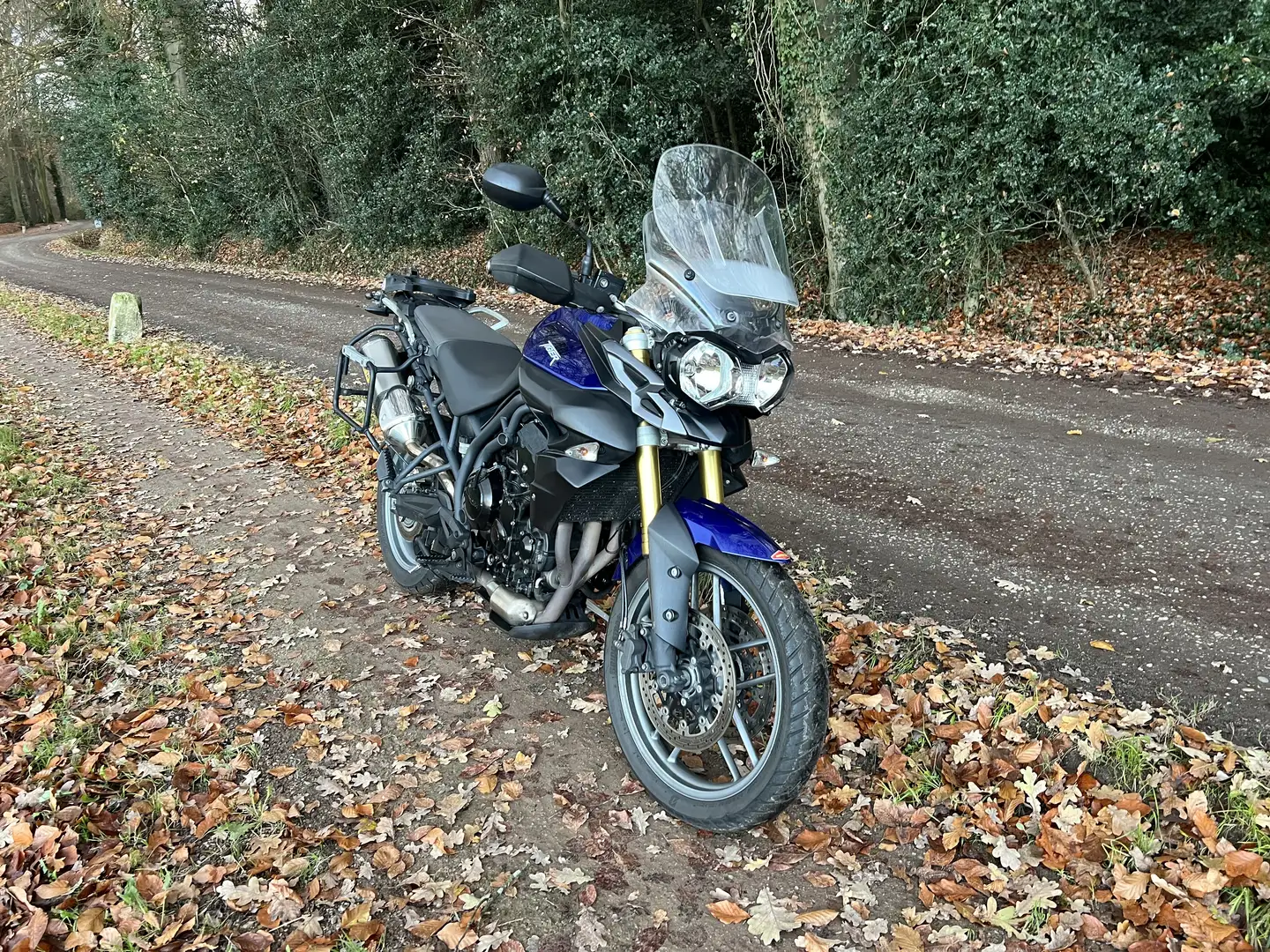 Triumph Tiger 800 Blauw - 1