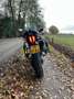 Triumph Tiger 800 Blauw - thumbnail 13