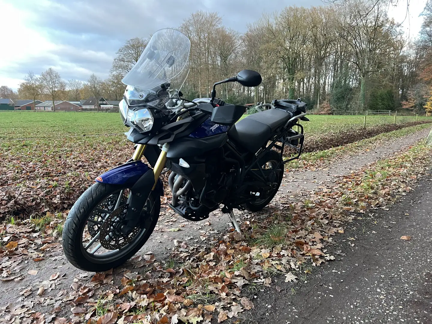 Triumph Tiger 800 Blauw - 2