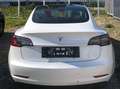 Tesla Model 3 Standard Range Weiß - thumbnail 8