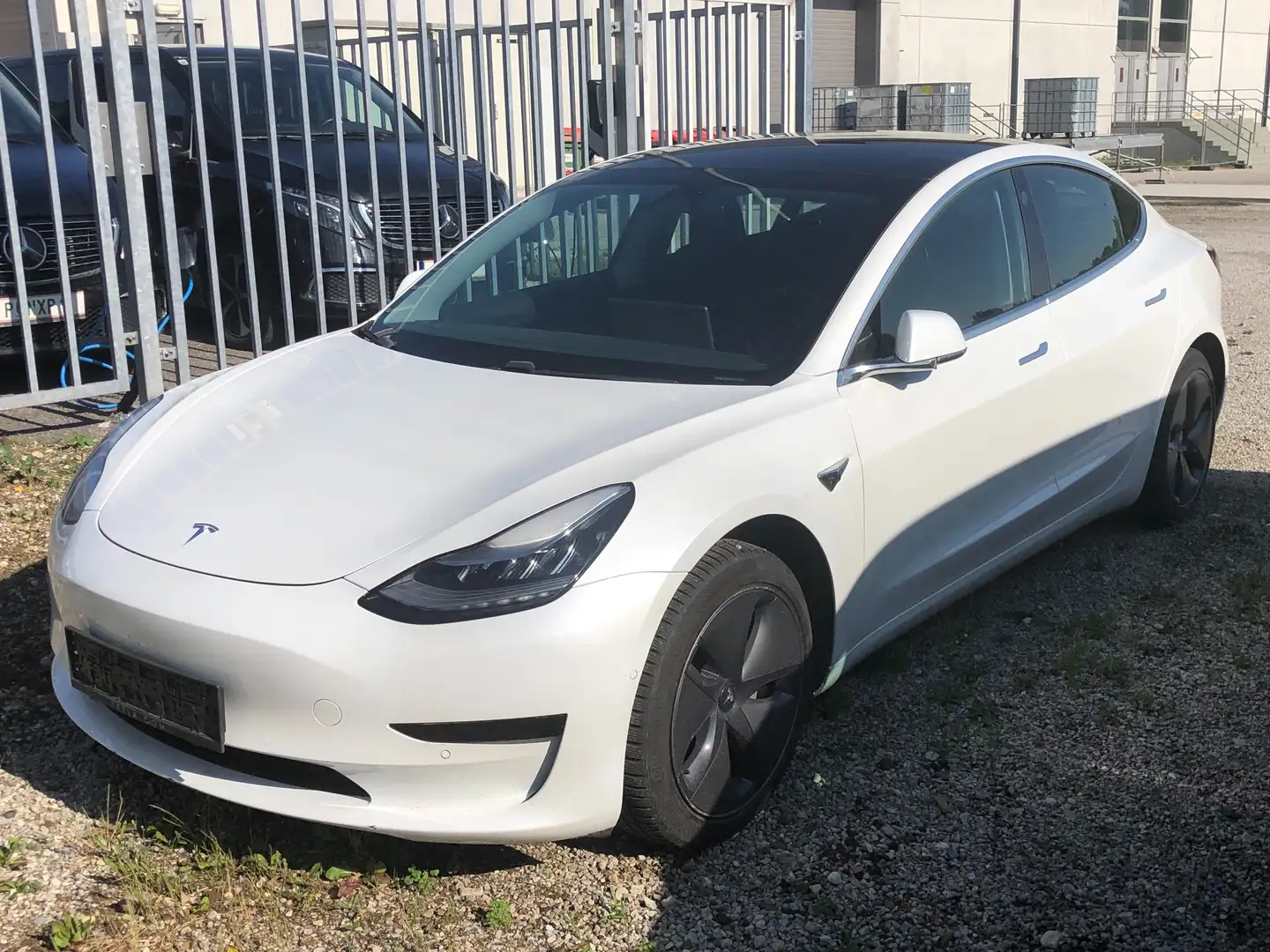 Tesla Model 3 Standard Range Weiß - 2