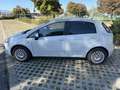 Fiat Punto Evo 1,4 EVO - thumbnail 4