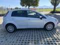 Fiat Punto Evo 1,4 EVO - thumbnail 3