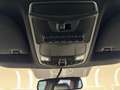 Ford F 150 Raptor Wit - thumbnail 24