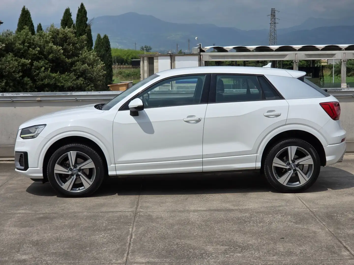 Audi Q2 2.0 TDI quattro S tronic Business Bianco - 2
