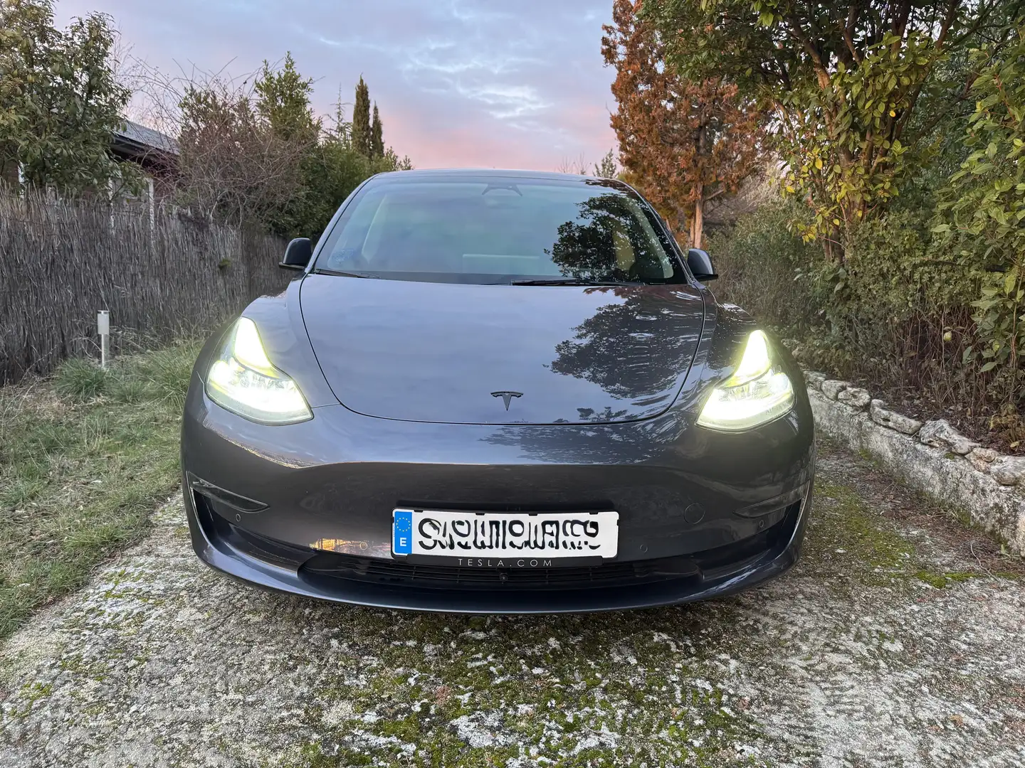 Tesla Model 3 Long-Range Dual Motor AWD - 2