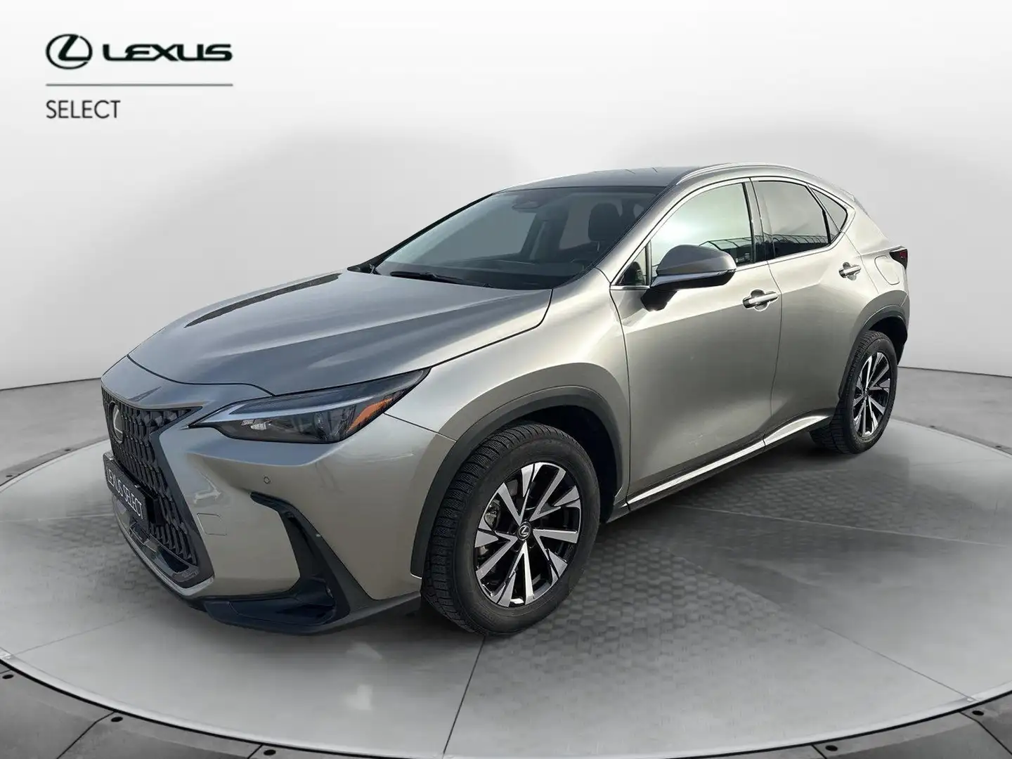 Lexus NX 300 Plug-in 4WD Premium Szary - 1