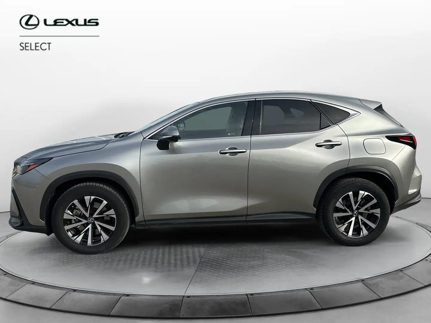 Lexus NX 300 Plug-in 4WD Premium Szary - 2