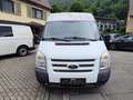 Ford Transit FT 300 M 8 Sitzer+Klima+Standheizung Blanc - thumbnail 2