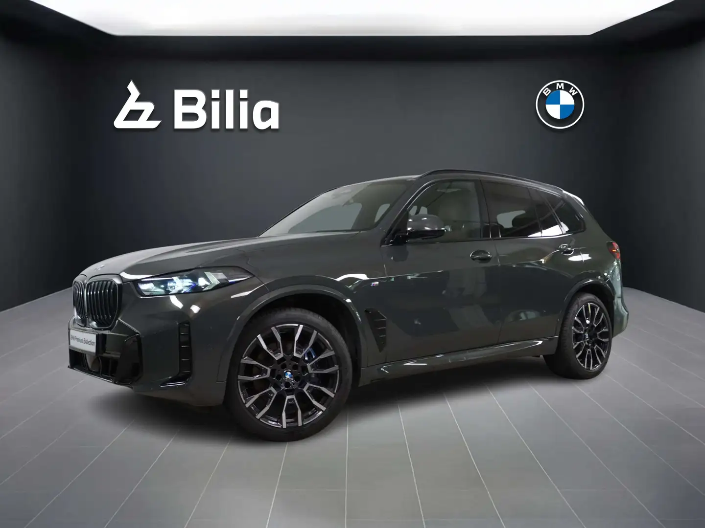 BMW X5 xDrive40d M Sportpaket Gestiksteuerung DAB Gris - 1