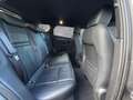 Land Rover Range Rover Evoque P250 R-Dynamic SE Black Pack Winterpaket Grau - thumbnail 5
