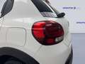 Citroen C3 BlueHDi 100 S&S Van Feel Bianco - thumbnail 7