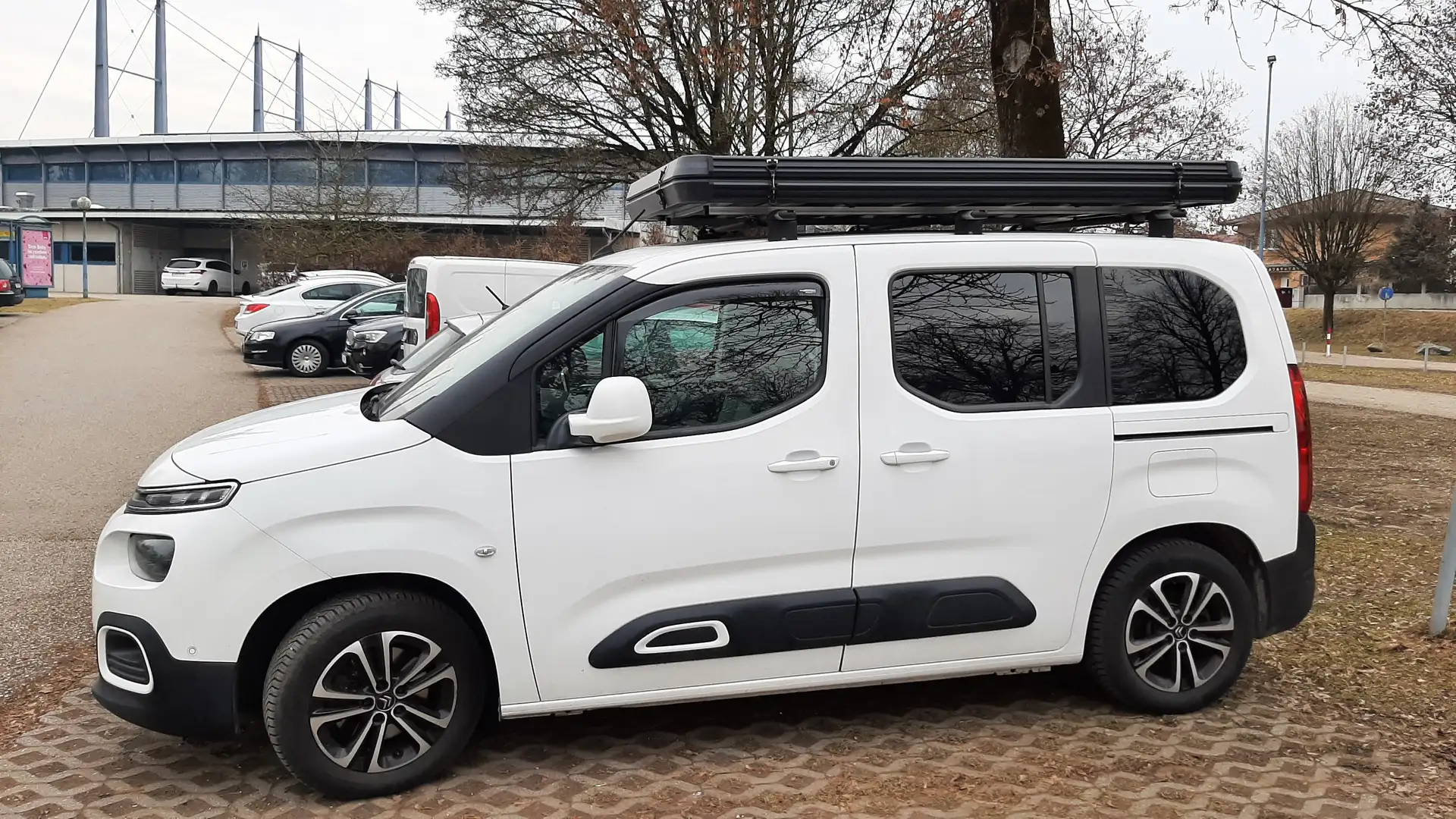 Citroen Berlingo BlueHDI+130+S&S_Shine+Panoramadach+Tempomat Weiß - 1