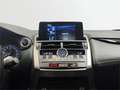 Lexus NX 300 300h Business 2WD - thumbnail 15