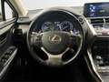 Lexus NX 300 300h Business 2WD - thumbnail 13