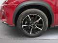Lexus NX 300 300h Business 2WD - thumbnail 16