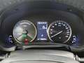 Lexus NX 300 300h Business 2WD - thumbnail 14