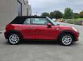 MINI Cooper Cabrio Mini Cabriolet 1.5 Cooper *LEDER*CRUISE*DISTRONIC* Rood - thumbnail 3