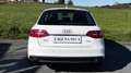 Audi A4 Avant 1.8 TFSI S line edition Q.170 (9.75) Bianco - thumbnail 8