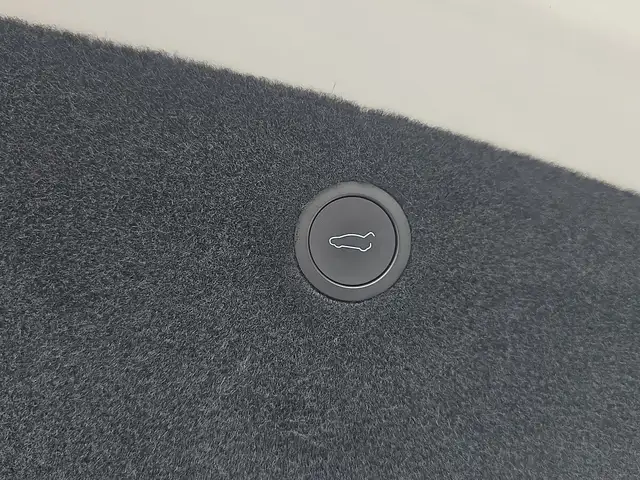 Tesla Model X AWD *Enh.Auto.P*AHV*WERKSGARANTIE* Ansicht 16