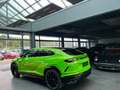 Lamborghini Urus PEARL CAPSULE/AKRAPOVIC/23"/PANO/B&O zelena - thumbnail 7