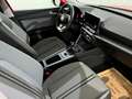 SEAT Leon 1.0 TSI Style Rot - thumbnail 14