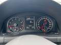 Volkswagen Golf Plus 1,4 TSI Team AHK/PDC/Temp./SHZ*1.Hand Rot - thumbnail 14