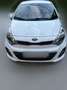 Kia Rio Rio 1,2 MPI Titan Titan Weiß - thumbnail 1