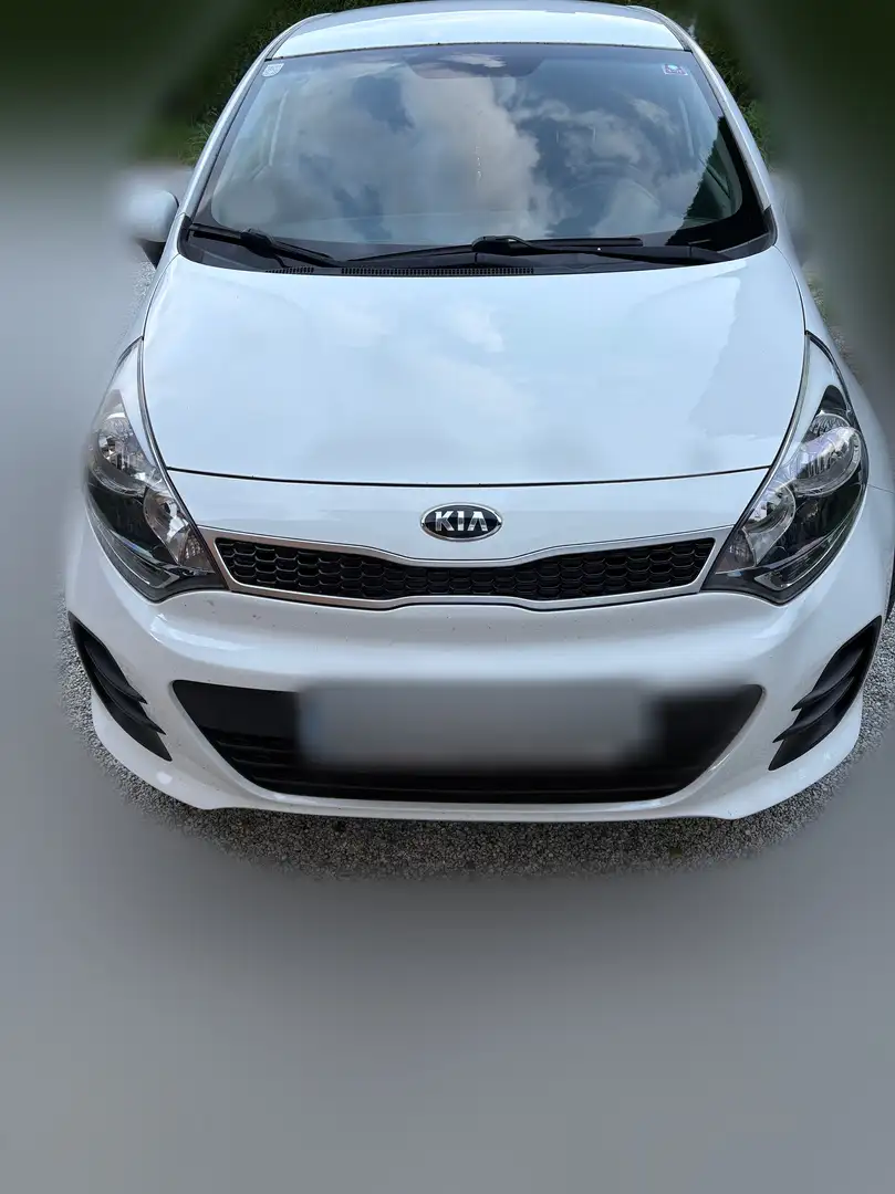 Kia Rio Rio 1,2 MPI Titan Titan Weiß - 1