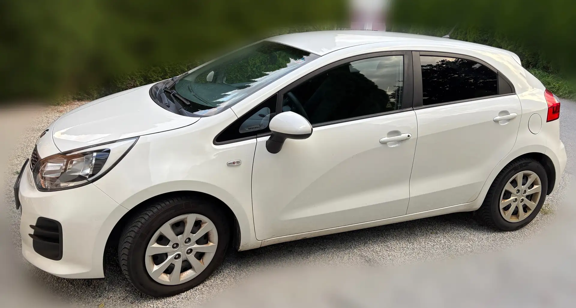 Kia Rio Rio 1,2 MPI Titan Titan Weiß - 2