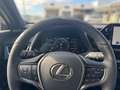 Lexus UX 250h Executive Line 1,4kWh Aut. Schwarz - thumbnail 8