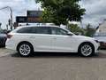 Skoda Octavia Combi Style Weiß - thumbnail 5