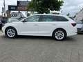 Skoda Octavia Combi Style Weiß - thumbnail 6